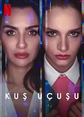 《直线篡位 第三季》：办公室政治升级，谁能笑到最后？职场生存法则大揭秘！