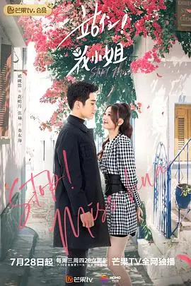 浪漫冒险与越南风情：站住！花小姐越南语版的情感纠葛与文化探索