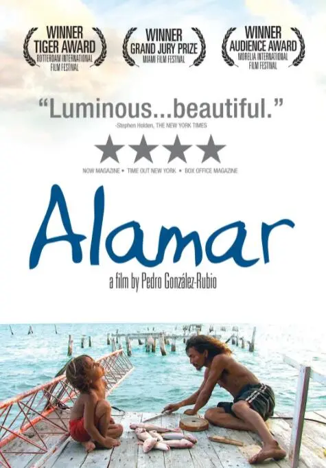 《拥抱大海》影评：维罗纳的治愈之旅，女性如何在大海与困境中寻找自我救赎？