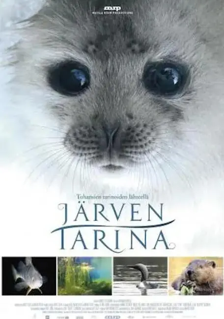 探索神秘湖泊：《湖泊的传说》揭秘古老诅咒与现代冒险的惊心动魄故事